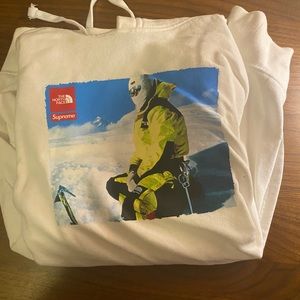 SUPREME TNF (the north face) SOLD OUT DESIGNER